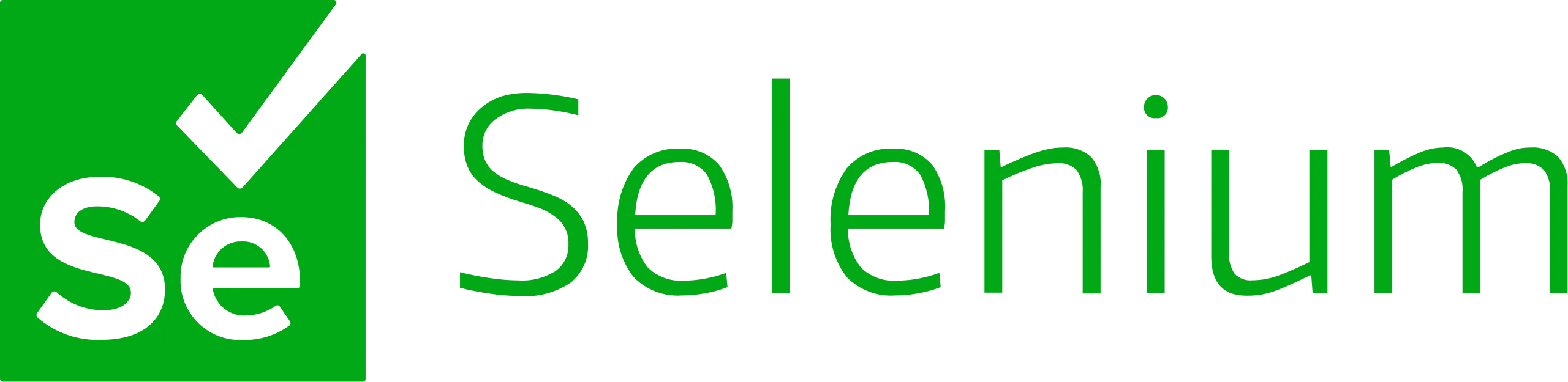 Selenium Automation Testing